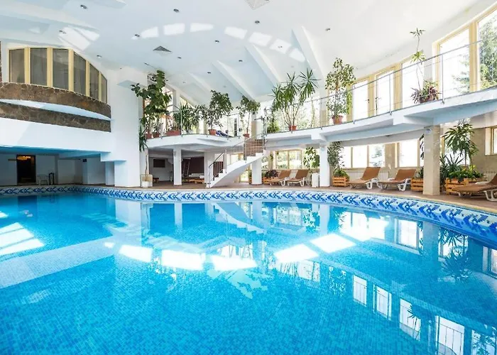 Snezhanka A640 팜포로보